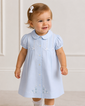 Baby Girls Blue Embroidered Dress